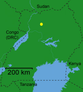 GuluDot