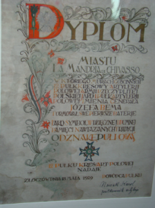 polonika 6